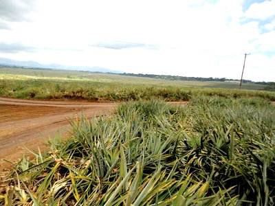 Malindi 55 Acres Land On Sale - Image 1