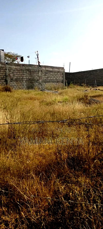 Quick 50*100 Plot for Sale in Kyumbi Machakos - Image 11