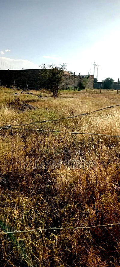 Quick 50*100 Plot for Sale in Kyumbi Machakos - Image 3