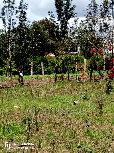 Kitengela Kisaju Plots Size 50*100 - Image 5