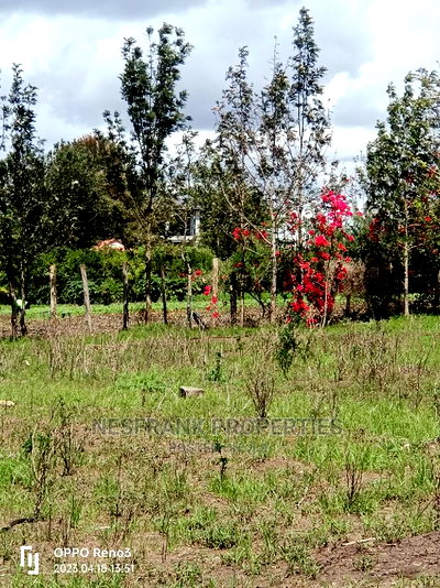 Kitengela Kisaju Plots Size 50*100 - Image 7