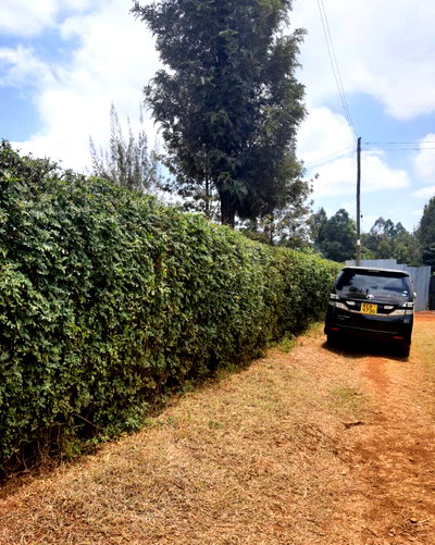 50x100 Garden Plot for KSh 3.6M
