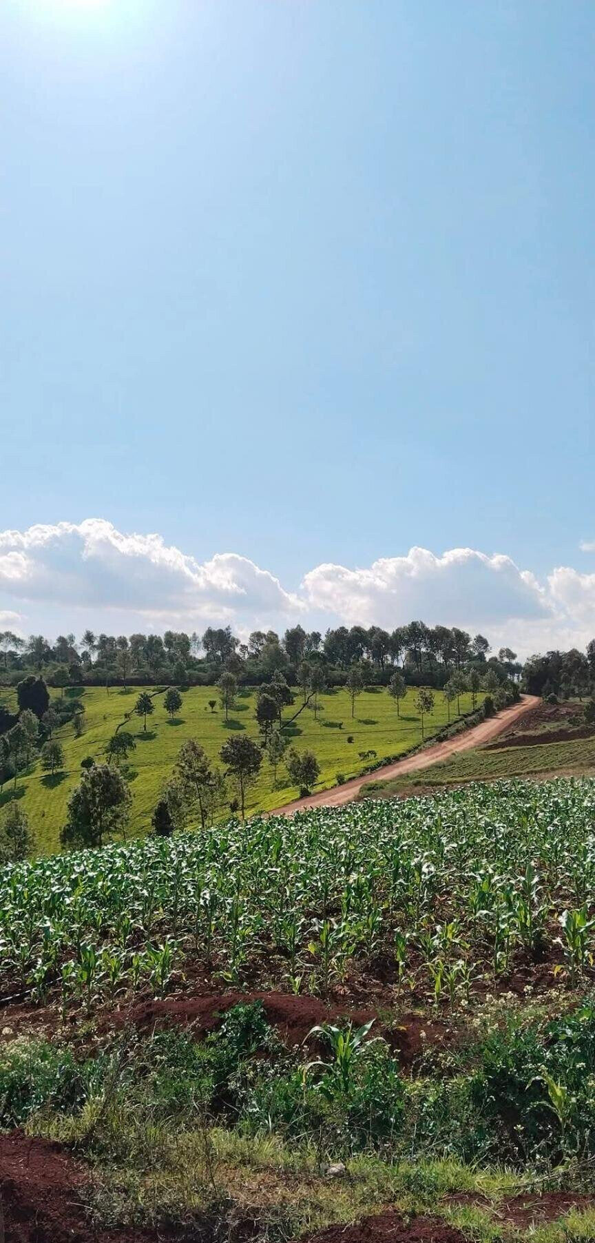 2-Acre Garden Plot with Parking - Tigoni
