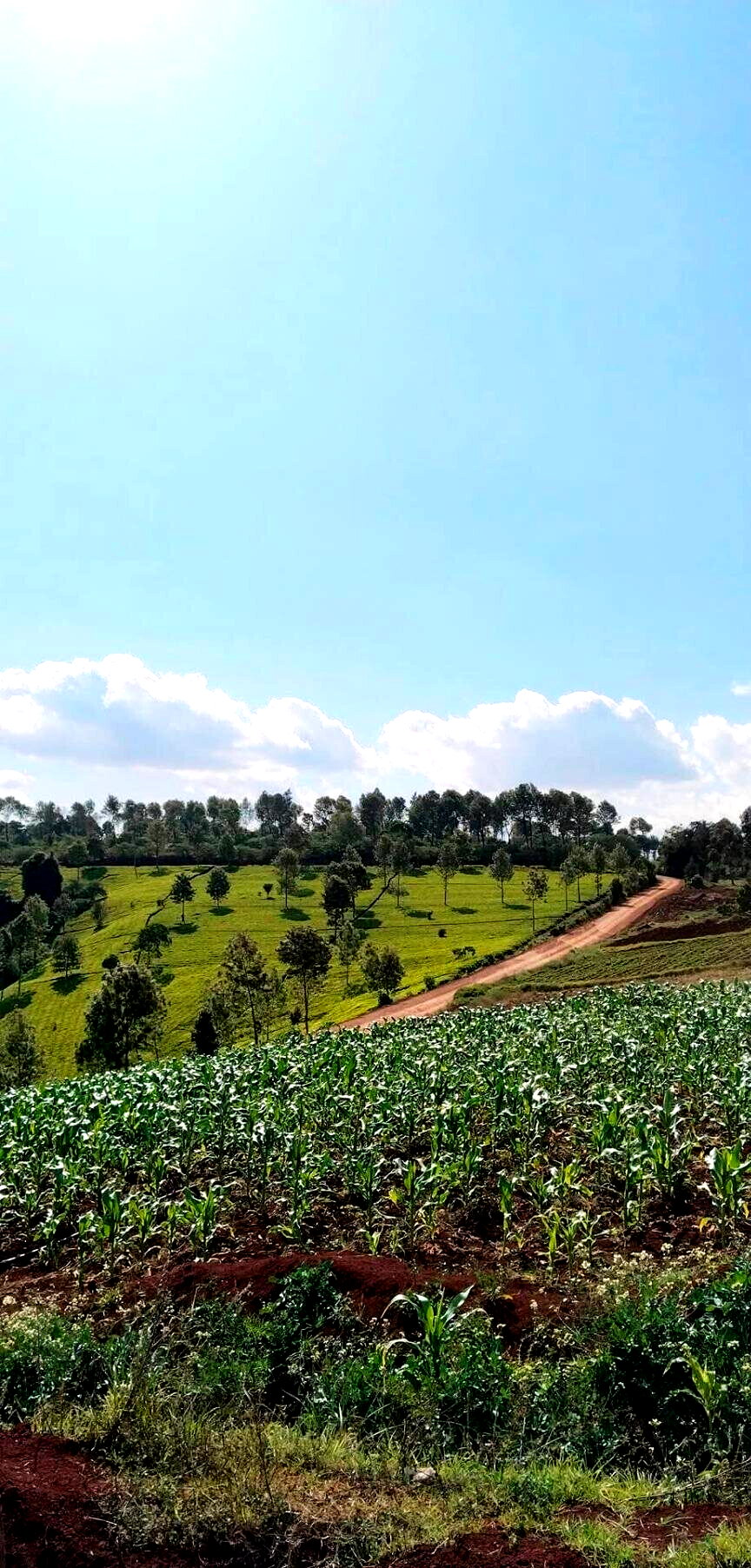 2-Acre Garden Plot with Parking - Tigoni