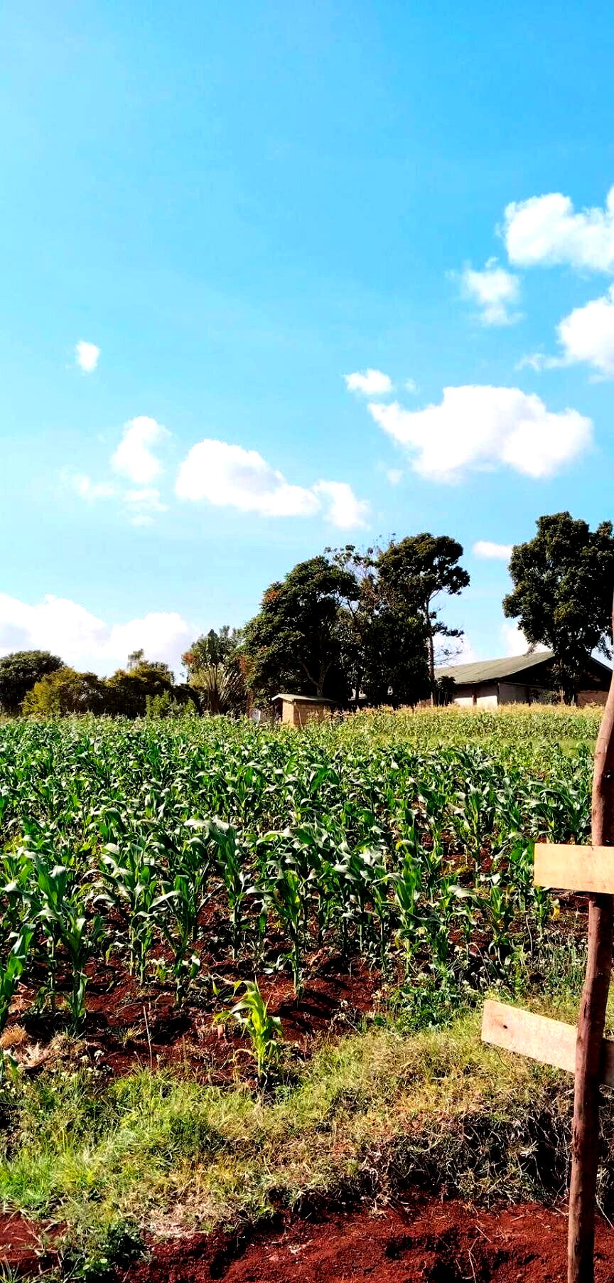 2-Acre Garden Plot with Parking - Tigoni