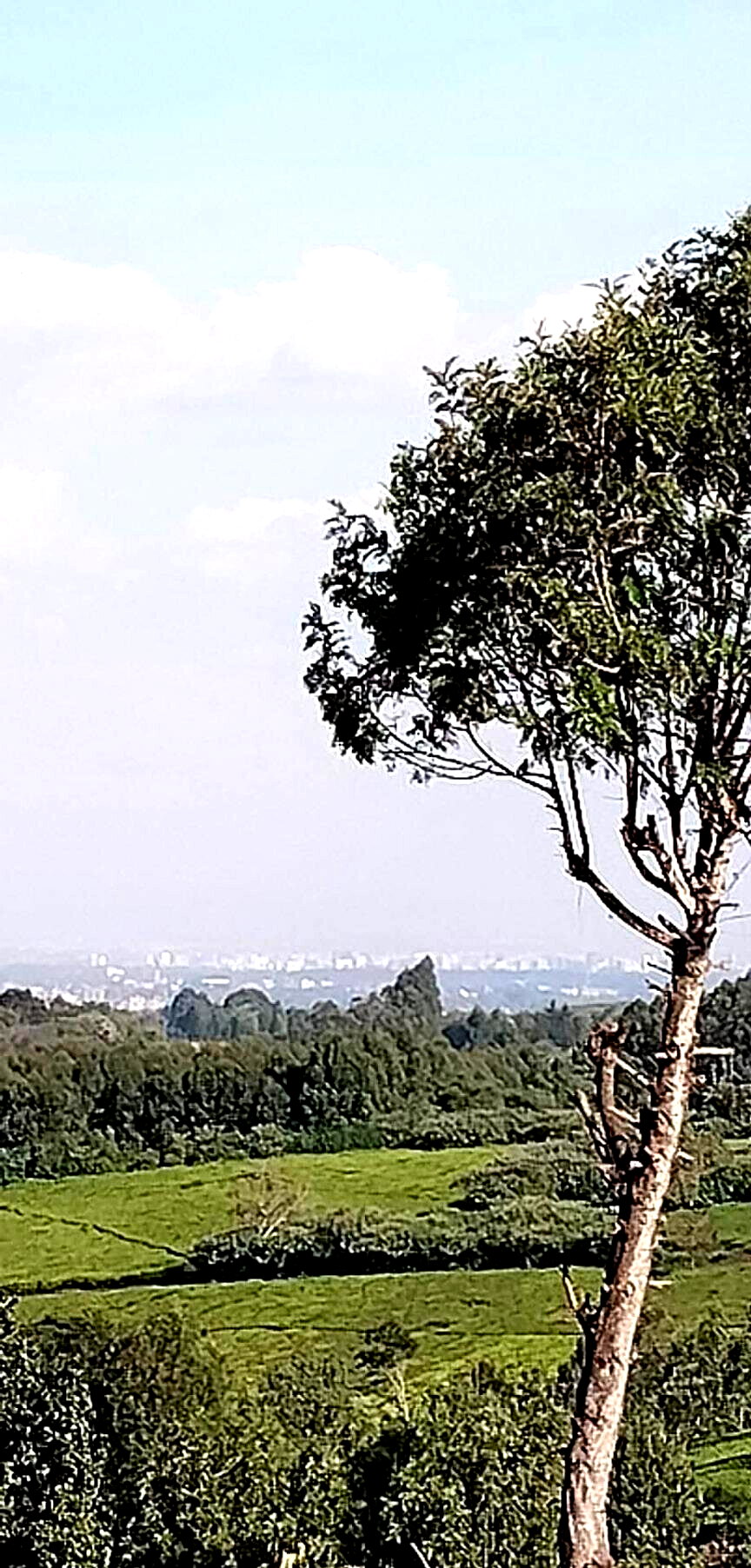 2-Acre Garden Plot with Parking - Tigoni