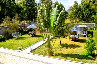 Furnished 3bdrm Mansion in Elgonview for rent - Image 10
