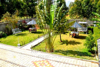 Furnished 3bdrm Mansion in Elgonview for rent - Image 13