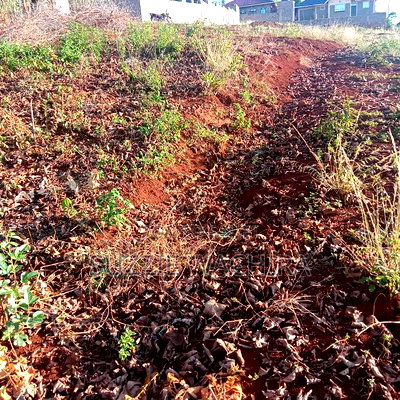 40x90ft Plots at Kenol Kagia Road for Sale Off OJ Hotel - Image 4
