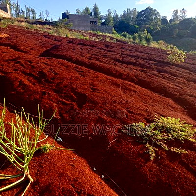 40x90ft Plots at Kenol Kagia Road for Sale Off OJ Hotel - Image 2