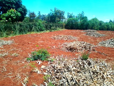 (Quarter) 1/4acre of Land at Makutano-Kirwara - Image 5