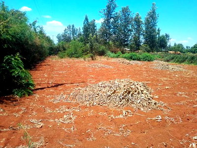 (Quarter) 1/4acre of Land at Makutano-Kirwara - Image 8