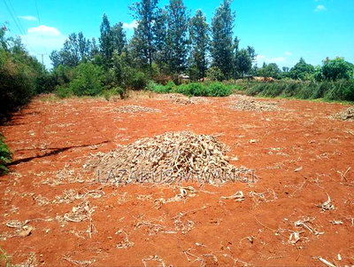(Quarter) 1/4acre of Land at Makutano-Kirwara - Image 6
