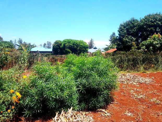 (Quarter) 1/4acre of Land at Makutano-Kirwara