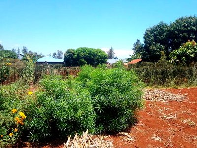 (Quarter) 1/4acre of Land at Makutano-Kirwara - Image 2