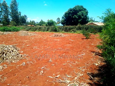 (Quarter) 1/4acre of Land at Makutano-Kirwara - Image 7