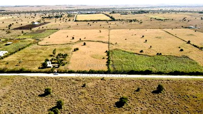 Prime 10 Acres Per Acre - Image 4