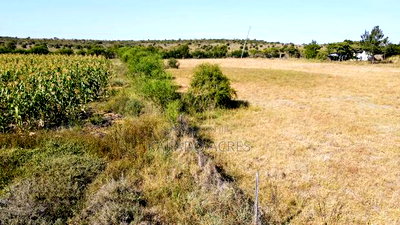 Prime 10 Acres Per Acre - Image 10