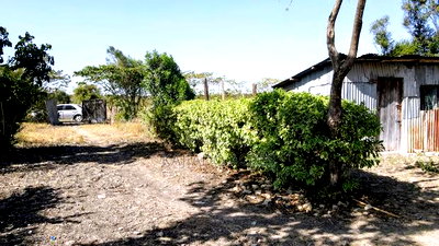 Prime 10 Acres Per Acre - Image 7