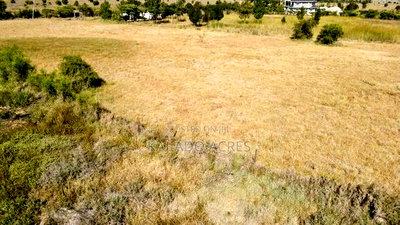 Prime 10 Acres Per Acre - Image 2