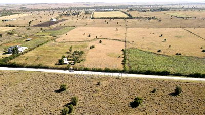 Prime 10 Acres Per Acre - Image 6
