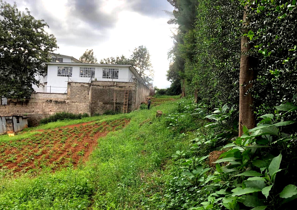 Half Acre in Muthaiga for KSh 55M
