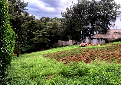 Half Acre in Muthaiga for KSh 55M