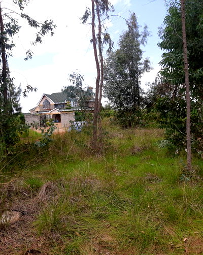 Quarter Acre Garden Plot in Thika Greens