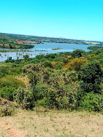 3 Acres Touching Tana River Near Makutano - Image 2