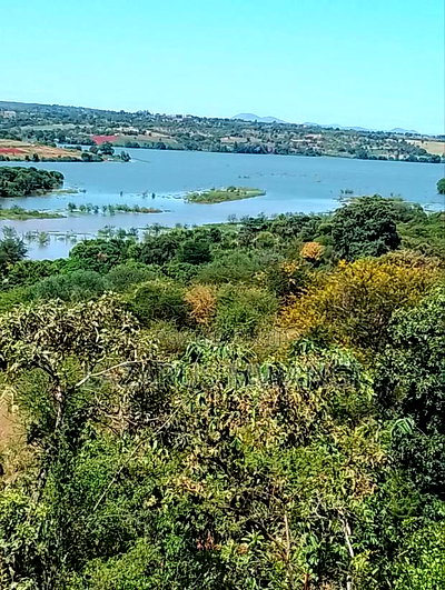 3 Acres Touching Tana River Near Makutano - Image 3
