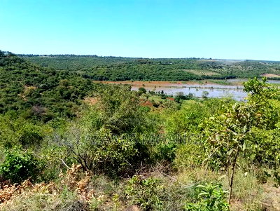 3 Acres Touching Tana River Near Makutano - Image 1