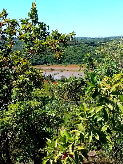 3 Acres Touching Tana River Near Makutano - Image 5