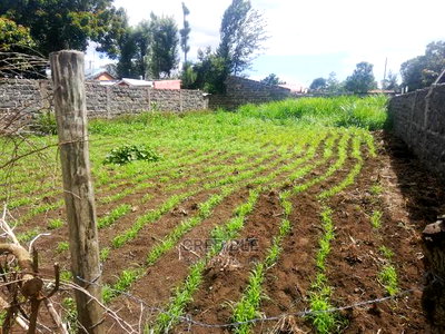 Superb Plot at Mercy Njeri in Nakuru for Sale - Image 1
