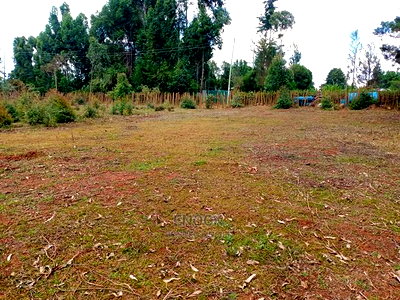 1/4 Acre and 1/8acres for Sale in Kapsaret Inder - Image 3