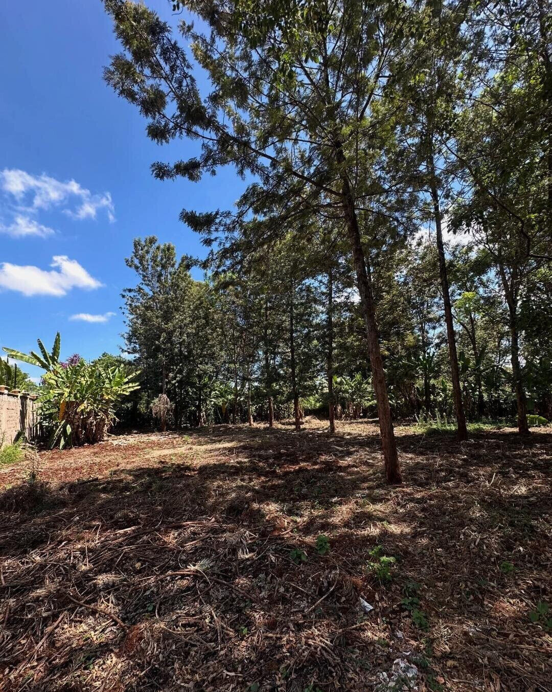 Garden Oasis with Parking at KSh 60M
