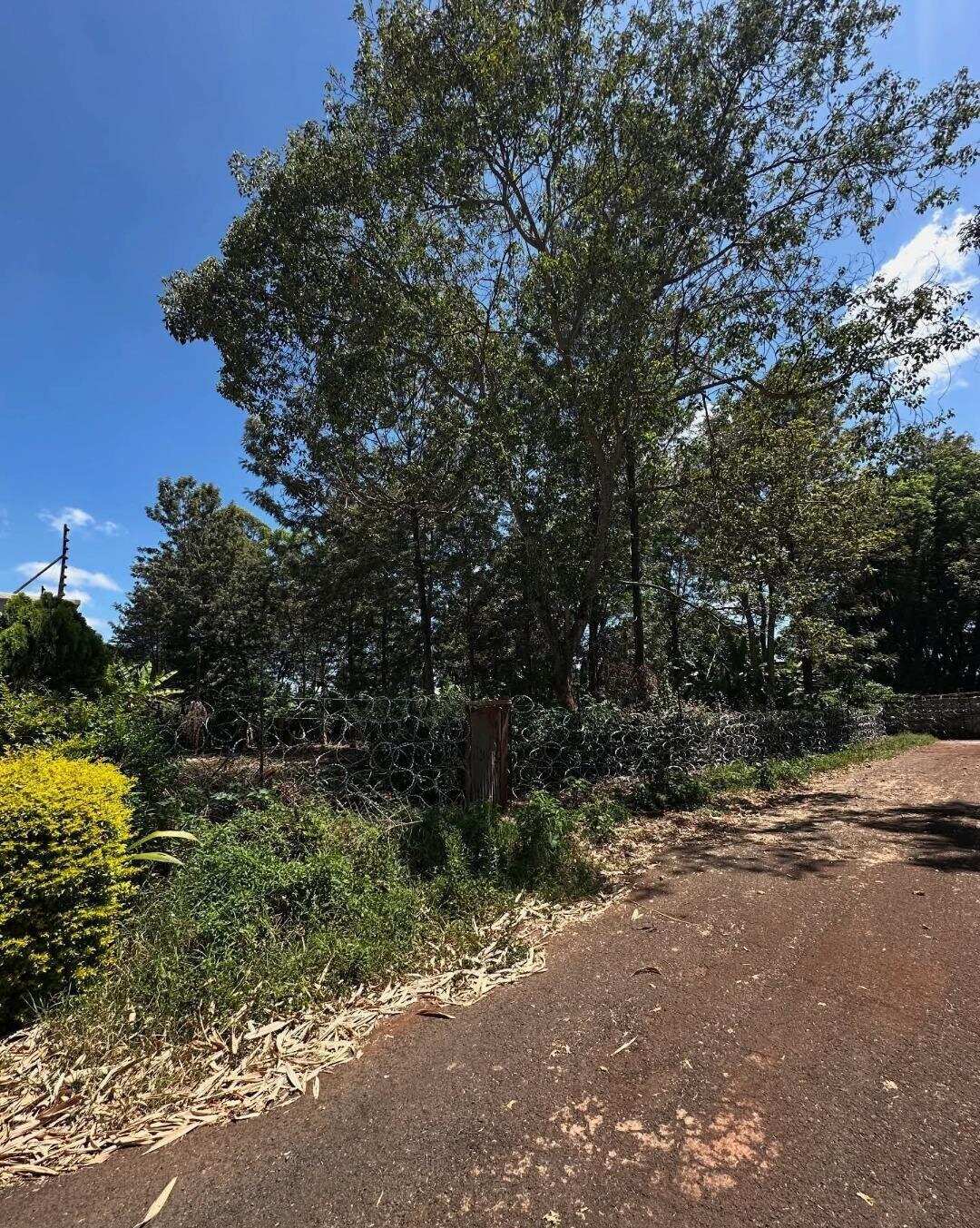 Garden Oasis with Parking at KSh 60M
