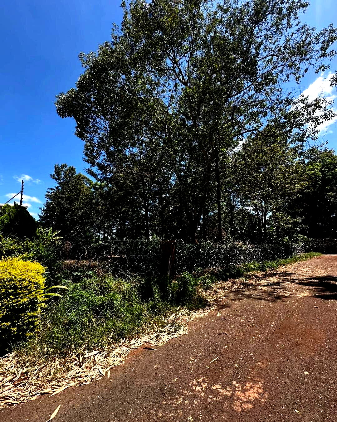 Garden Oasis with Parking at KSh 60M