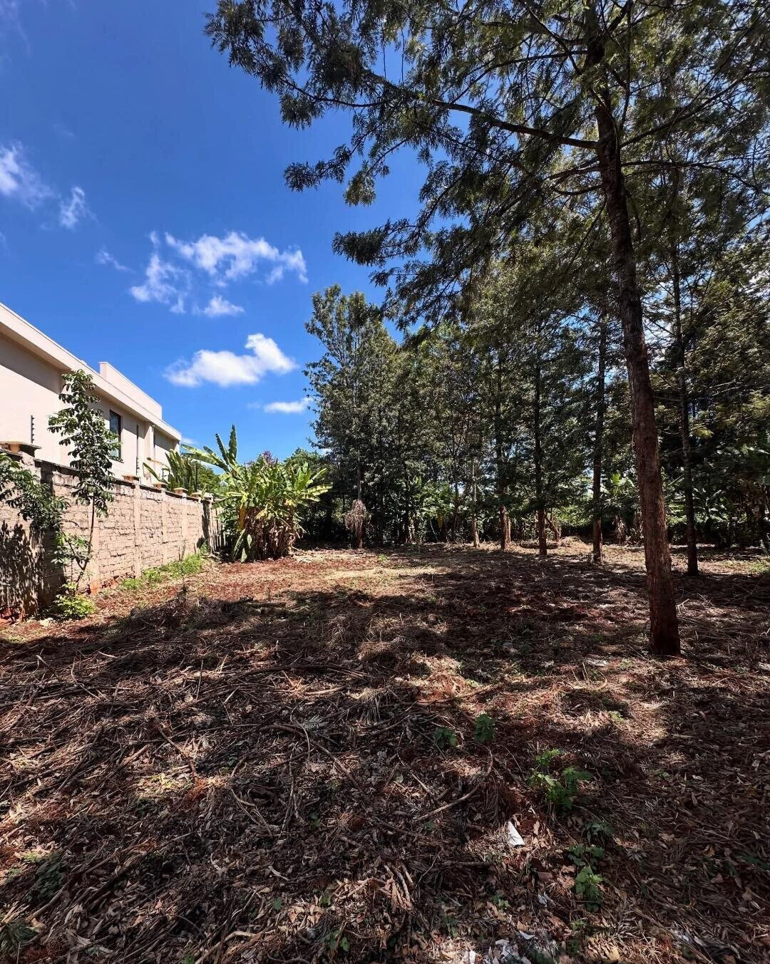 Garden Oasis with Parking at KSh 60M