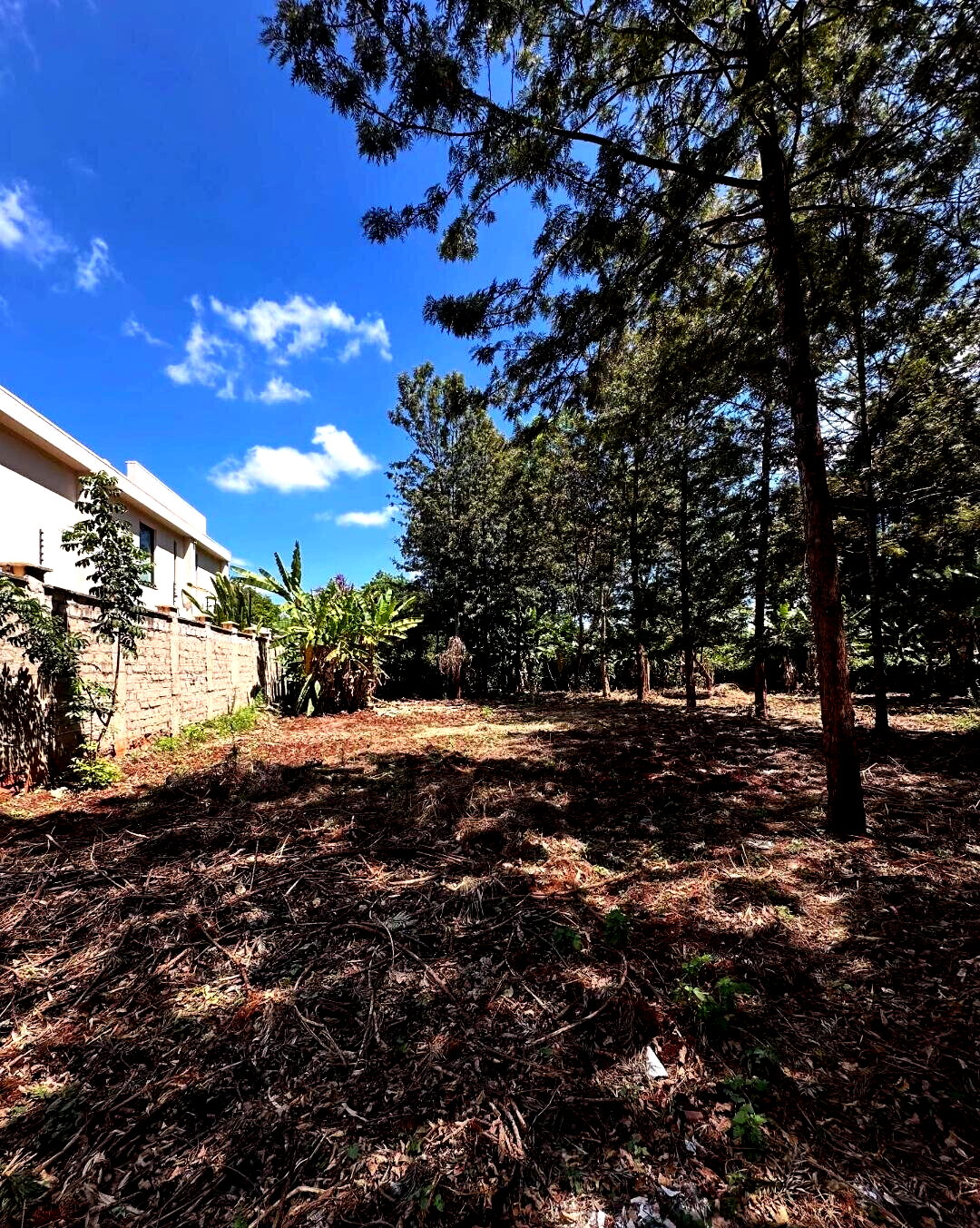Garden Oasis with Parking at KSh 60M