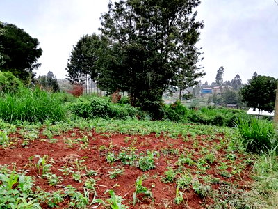 Commercial Plot For Sale In Kikuyu, Gitaru (Waiyaki Way) - Image 11