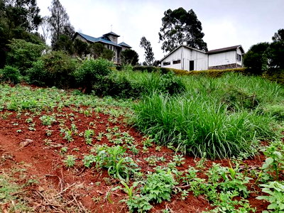 Commercial Plot For Sale In Kikuyu, Gitaru (Waiyaki Way) - Image 12
