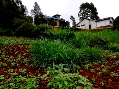 Commercial Plot For Sale In Kikuyu, Gitaru (Waiyaki Way) - Image 8