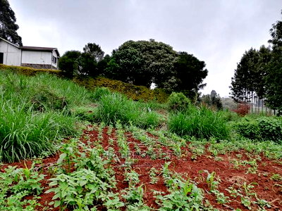 Commercial Plot For Sale In Kikuyu, Gitaru (Waiyaki Way) - Image 6