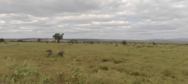 200 Acres at 4.5M Per Acre. 2kms From Umma University.