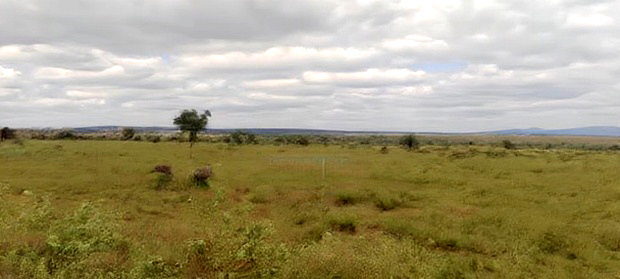 200 Acres at 4.5M Per Acre. 2kms From Umma University.