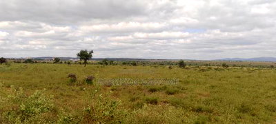 200 Acres at 4.5M Per Acre. 2kms From Umma University. - Image 3