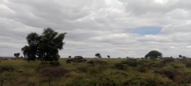 200 Acres at 4.5M Per Acre. 2kms From Umma University.