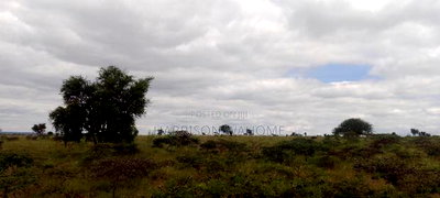 200 Acres at 4.5M Per Acre. 2kms From Umma University. - Image 4