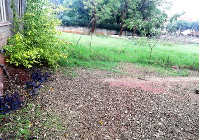 1/8 Acre South C Plot for KSh 120M