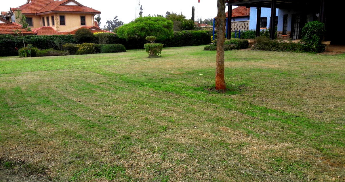 Half-Acre 5BR All-Ensuite with Fireplace & DSQ - Runda